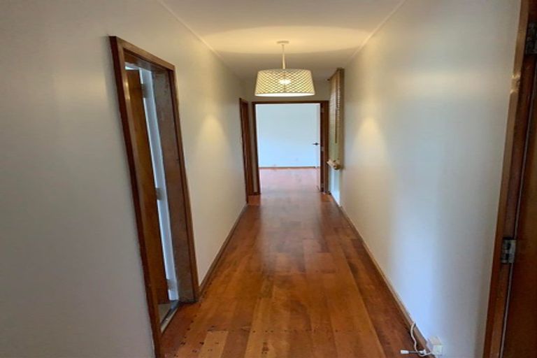 Photo of property in 45a Randwick Road, Northland, Wellington, 6012