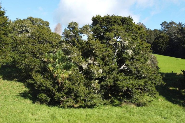 Photo of property in 215 Tara Road, Mangawhai, 0573