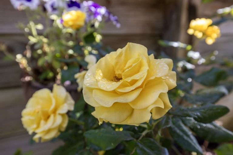 Photo of property in 14 San Priamo Place, Paraparaumu Beach, Paraparaumu, 5032