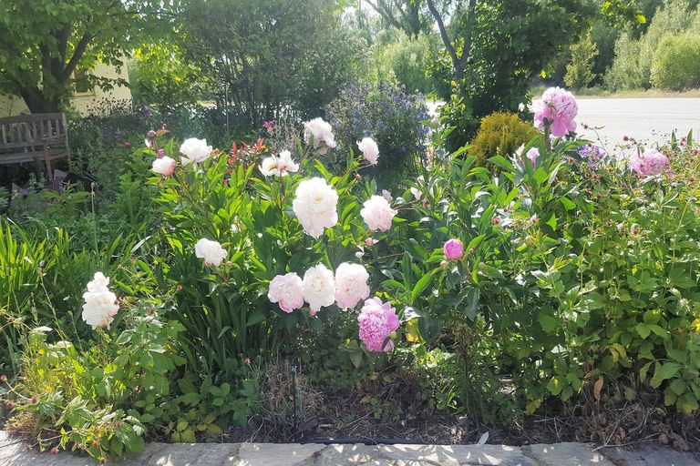 Photo of property in 15 Wilson Street, Omakau, 9376