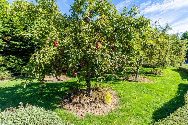 Photo of property in 52 Nixons Road, Fairlie, 7987