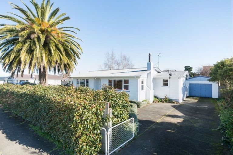 Photo of property in 113 Stanford Street North, Ashhurst, 4810