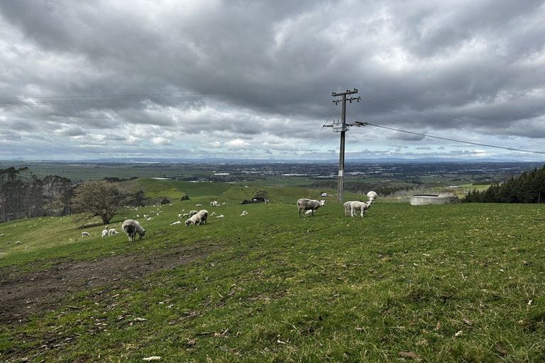 Photo of property in 345a Reid Road, Papamoa, Te Puke, 3187