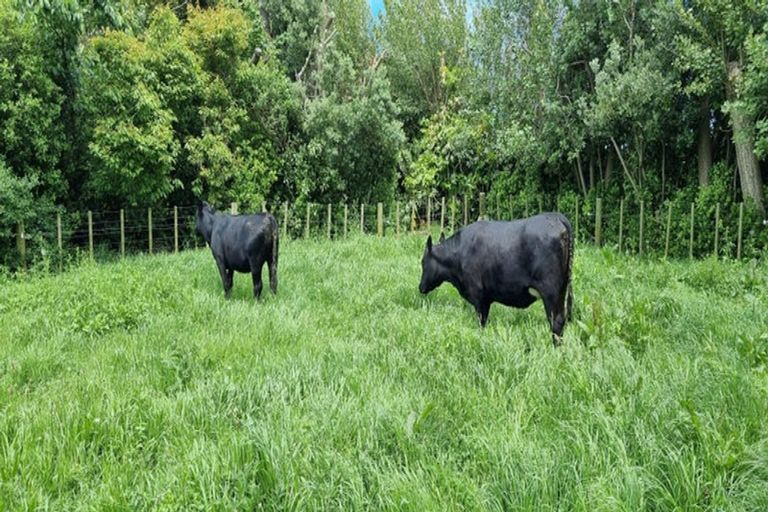 Photo of property in 150 Wirihana Road, Hawera, 4674