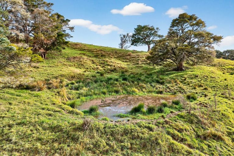 Photo of property in 397 Pahi Road, Pahi, Paparoa, 0571