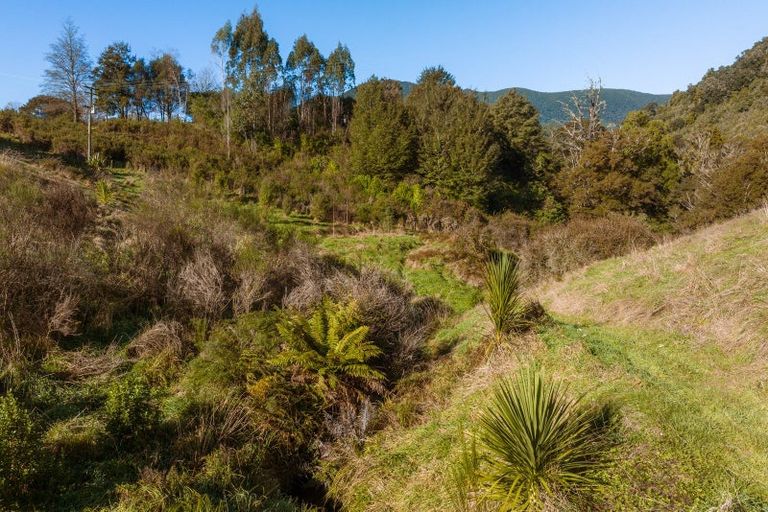 Photo of property in 317 Maungatapu Road, Pelorus Bridge, Rai Valley, 7192