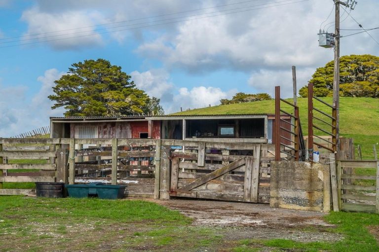 Photo of property in 217 Underwood Road, Wellsford, 0973