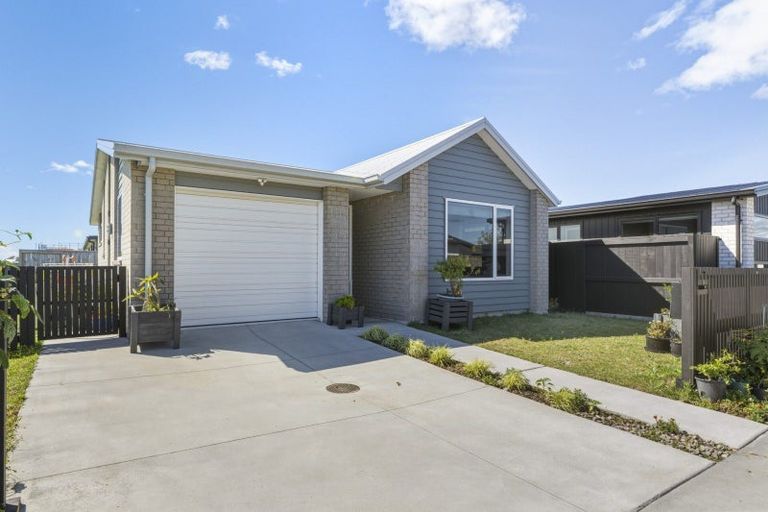 Photo of property in 8 Tauhinu Place, Papamoa, 3118