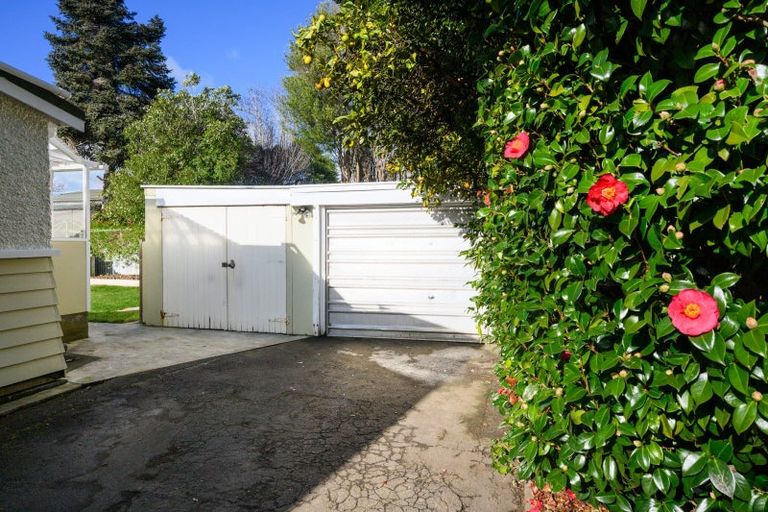 Photo of property in 38 Manson Street, Terrace End, Palmerston North, 4410