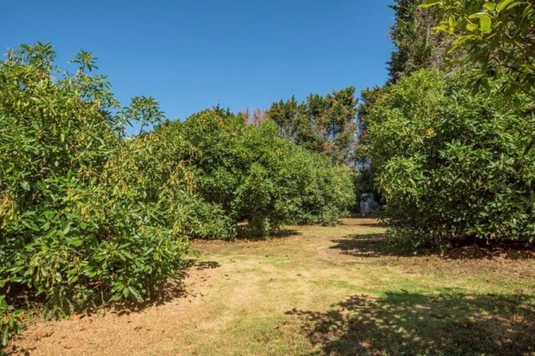 Photo of property in 96 Nisbet Road, Maungatapere, Whangarei, 0179