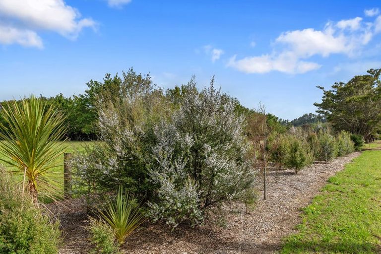 Photo of property in 37 Sunnyside Road, Coatesville, 0793