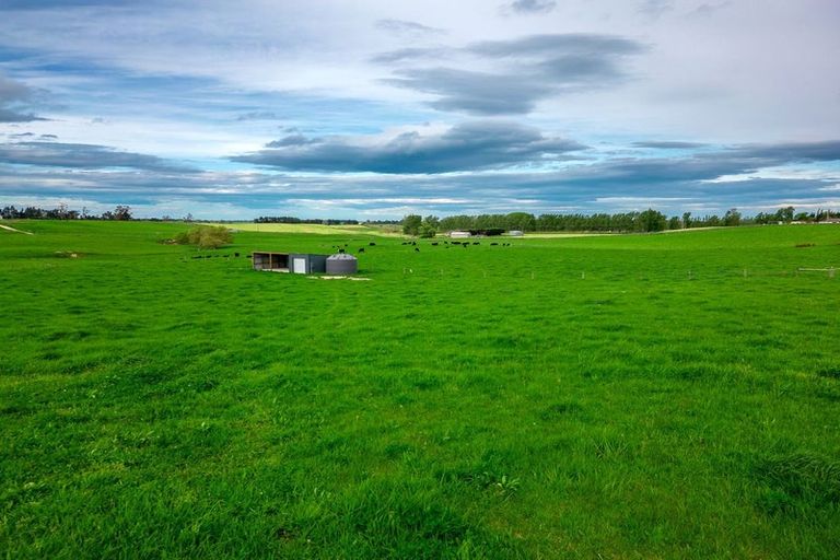 Photo of property in 38 Whitneys Road, Waimate, 7978