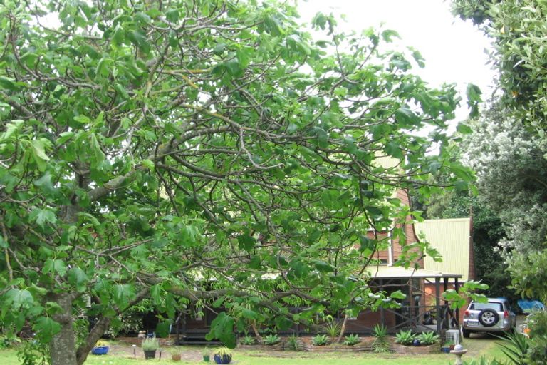 Photo of property in 11 Lysnar Street, Okitu, Gisborne, 4010