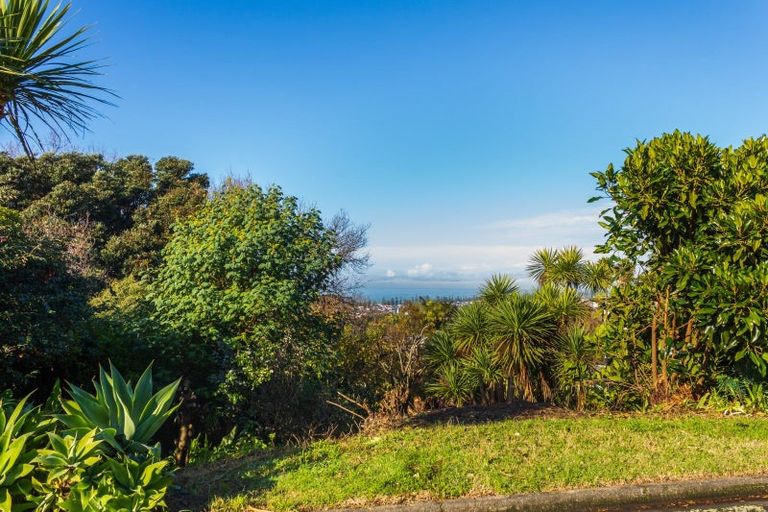 Photo of property in 11a Randall Place, Hospital Hill, Napier, 4110