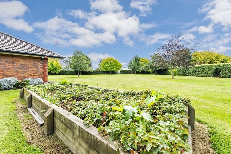 Photo of property in 38 Winnie Vine Place, Dunsandel, Leeston, 7682