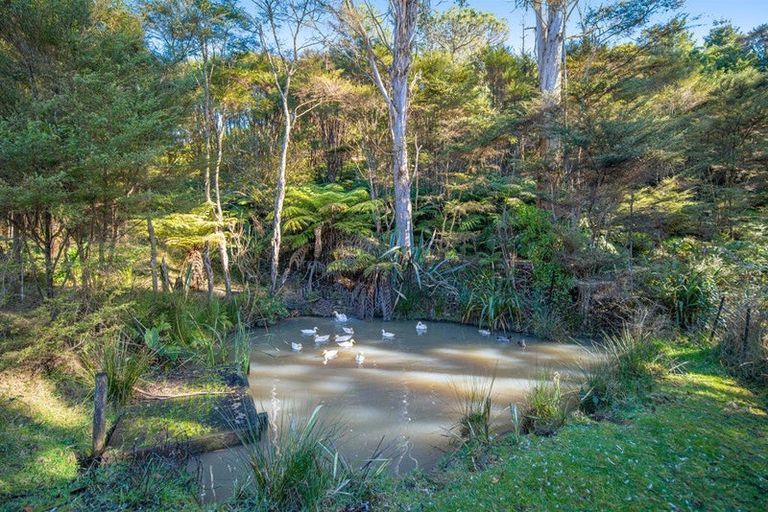 Photo of property in 341 Kanohi Road, Kaukapakapa, 0873