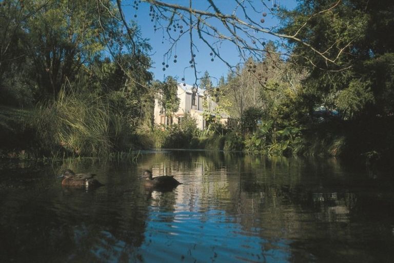 Photo of property in 45 Aucks Road, Russell, 0272