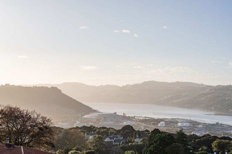 Photo of property in 29 Selkirk Street, Roslyn, Dunedin, 9010