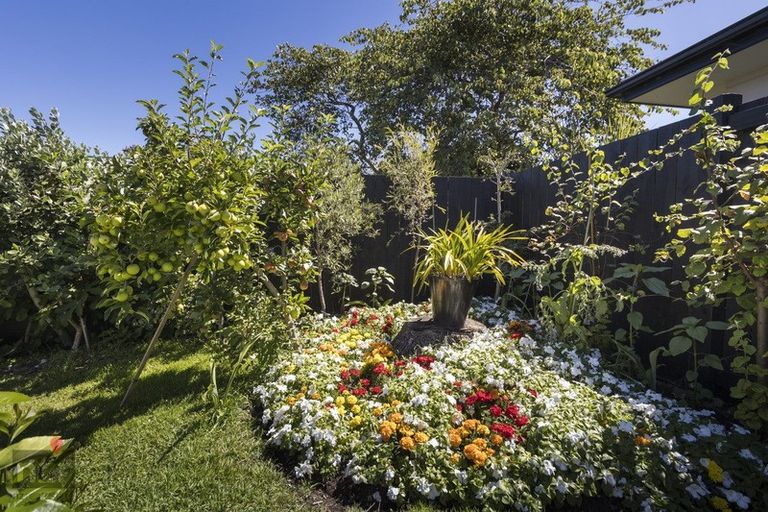 Photo of property in 183b Te Awe Awe Street, Hokowhitu, Palmerston North, 4410