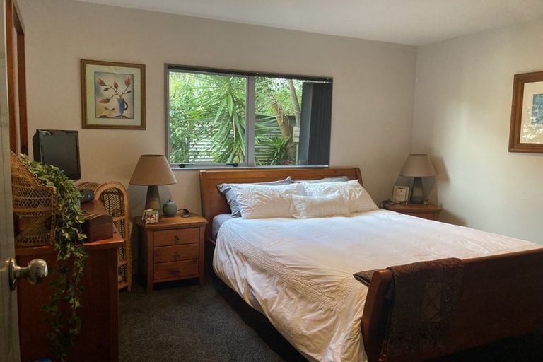 Photo of property in 14 Bush View Lane, Northcote Point, Auckland, 0627