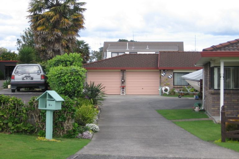 Photo of property in 6a Vine Avenue, Maungatapu, Tauranga, 3112