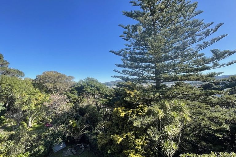 Photo of property in 24 Beacon Hill Road, Strathmore Park, Wellington, 6022