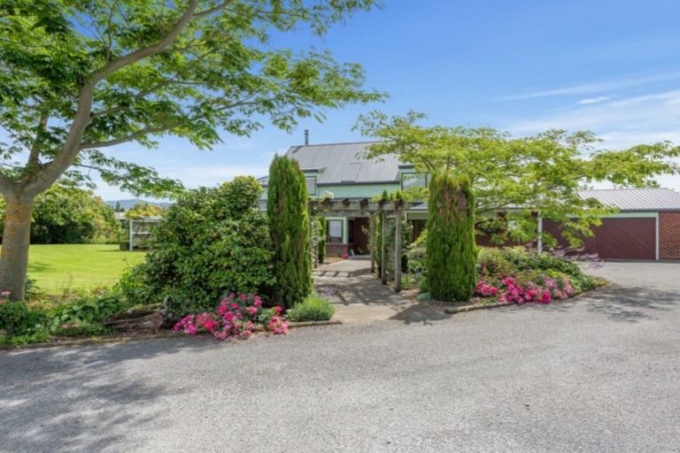 Photo of property in 17 Boyce Street, Renwick, 7204