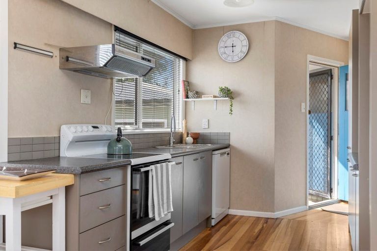 Photo of property in 208 Tamamutu Street, Taupo, 3330