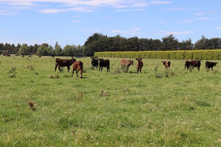 Photo of property in 115 Winton Substation Road, Winton, 9783