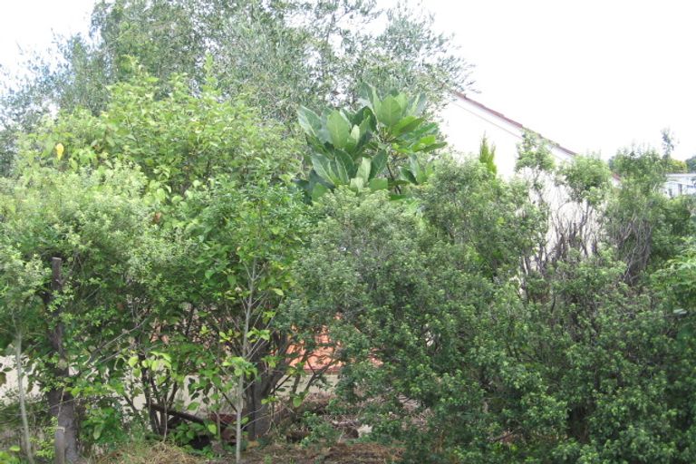 Photo of property in 5a Brian Avenue, Forrest Hill, Auckland, 0620