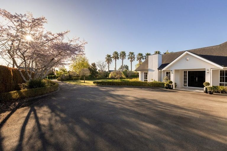 Photo of property in 8 Georgia Grove, Pyes Pa, Tauranga, 3112