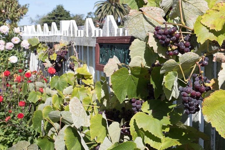 Photo of property in 44a Akaroa Street, Kaiapoi, 7630