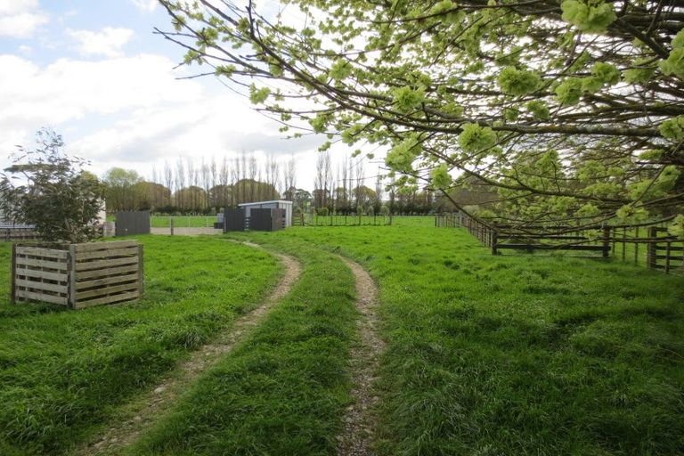 Photo of property in 81974 State Highway 2, Pahiatua, 4984