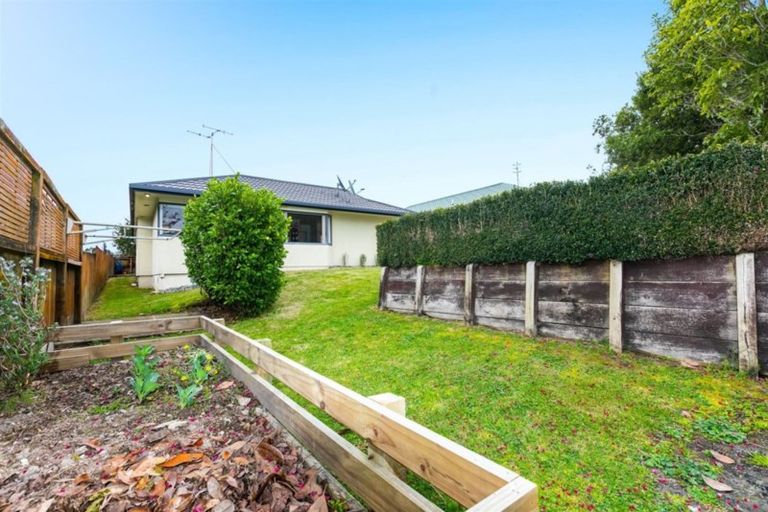 Photo of property in 14 Tawai Dell, Pyes Pa, Tauranga, 3112