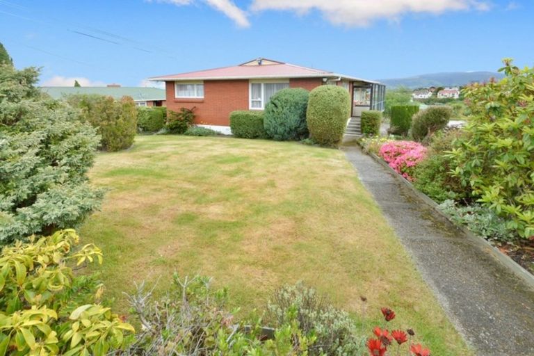 Photo of property in 247 Highcliff Road, Shiel Hill, Dunedin, 9013