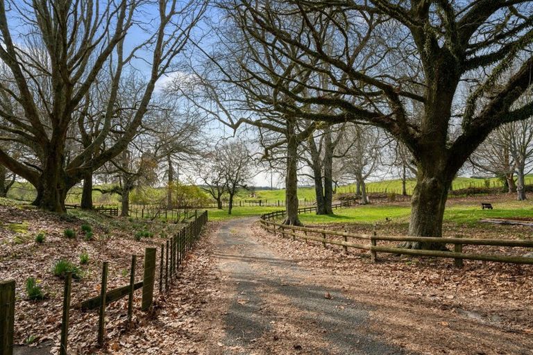 Photo of property in 21a Hamilton Road, Lake Rotoma, Rotorua, 3074