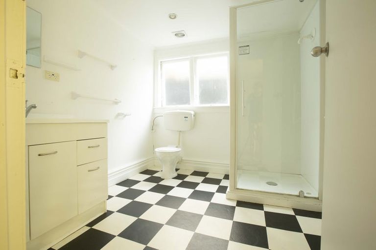 Photo of property in 10 Niger Street, Grey Lynn, Auckland, 1021