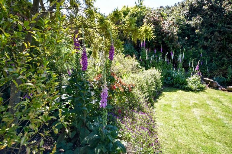 Photo of property in 263 Upper Junction Road, Sawyers Bay, Port Chalmers, 9023