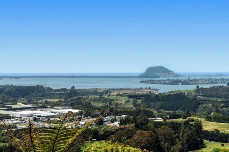 Photo of property in 213b Minden Road, Minden, Tauranga, 3176