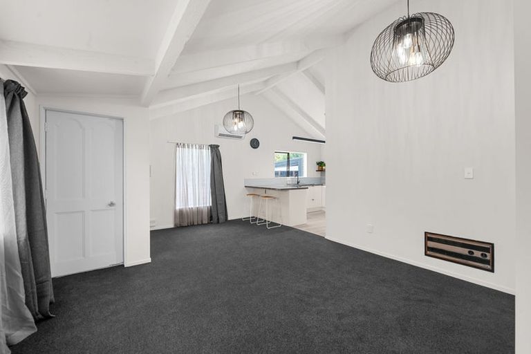 Photo of property in 120 Clarkin Road, Fairfield, Hamilton, 3214