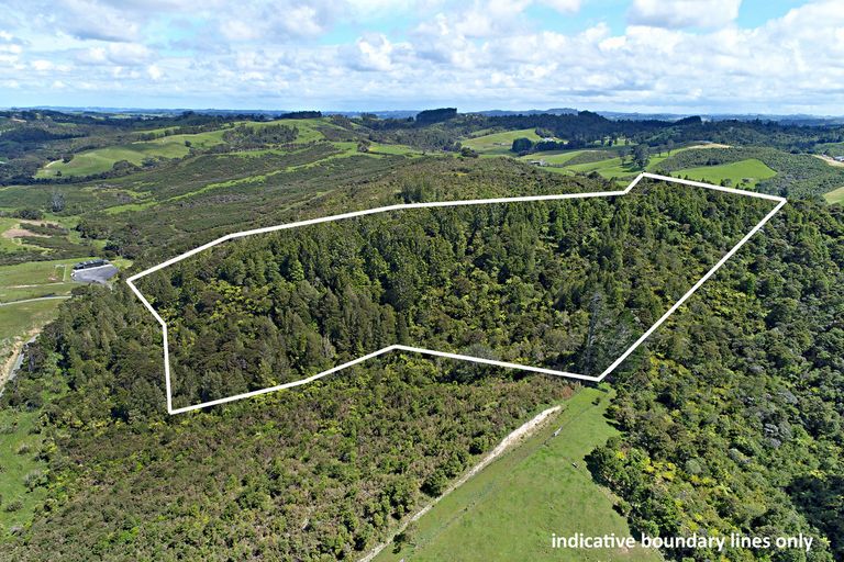 Photo of property in 244a Blackbridge Road, Dairy Flat, 0794