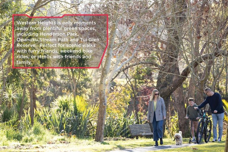 Photo of property in 13 Isabella Lane, Henderson, 0610