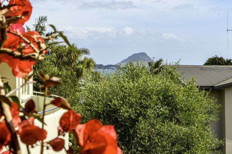 Photo of property in 6 Anchorage Grove, Maungatapu, Tauranga, 3112