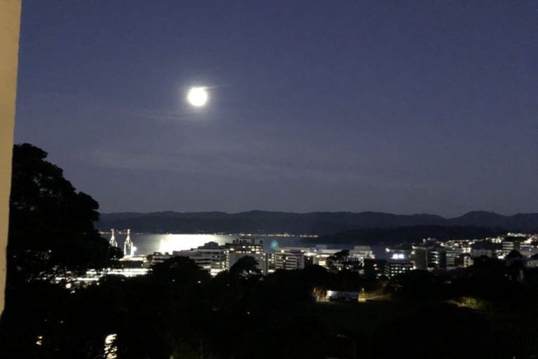 Photo of property in 37 Patanga Crescent, Thorndon, Wellington, 6011