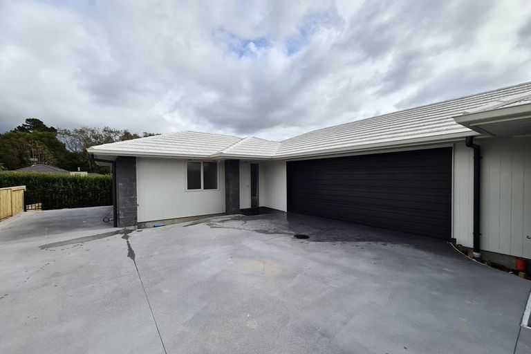 Photo of property in 52 Hass Drive, Ohauiti, Tauranga, 3112