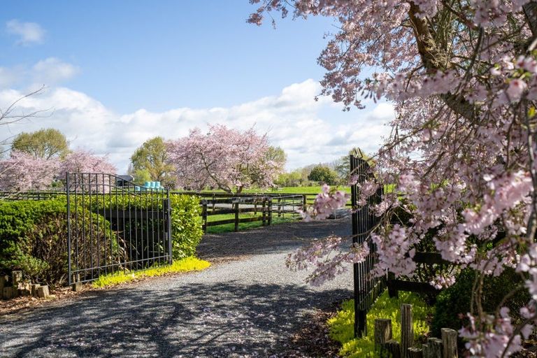 Photo of property in 6/103 Maungakawa Road, Cambridge, 3496