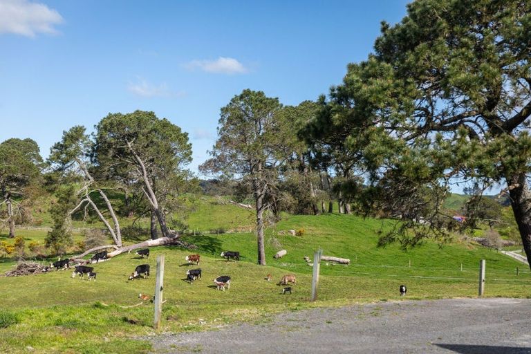 Photo of property in 259 Mcphail Road, Oropi, Tauranga, 3173