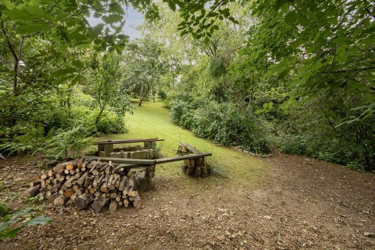 Photo of property in 20 Emmerdale Place, Ohauiti, Tauranga, 3112