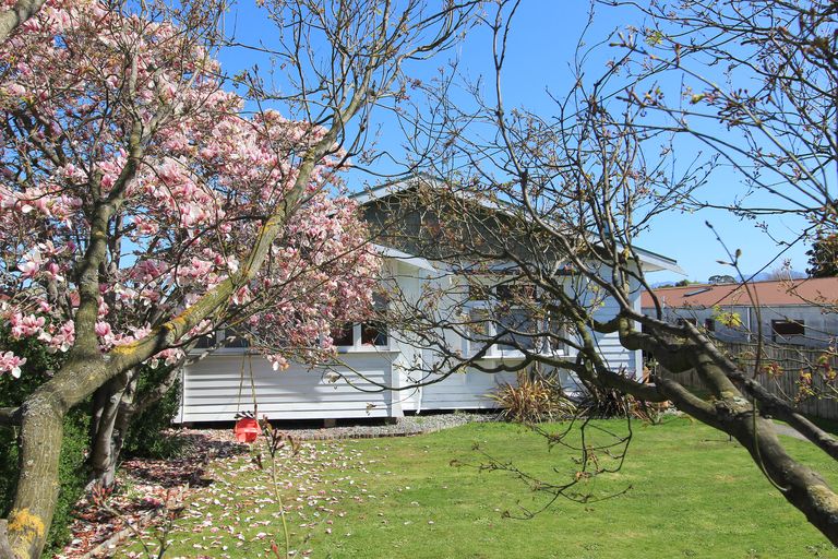 Photo of property in 14 Howick Road, Blenheim, 7201