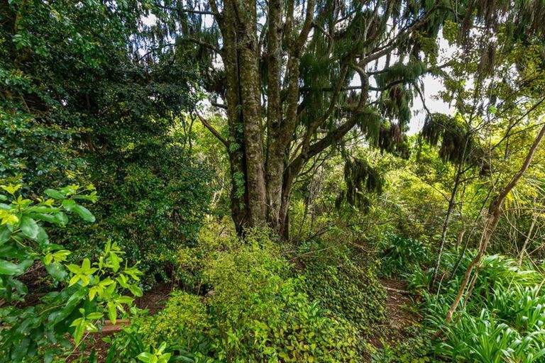 Photo of property in 160 Opanuku Road, Henderson Valley, Auckland, 0612